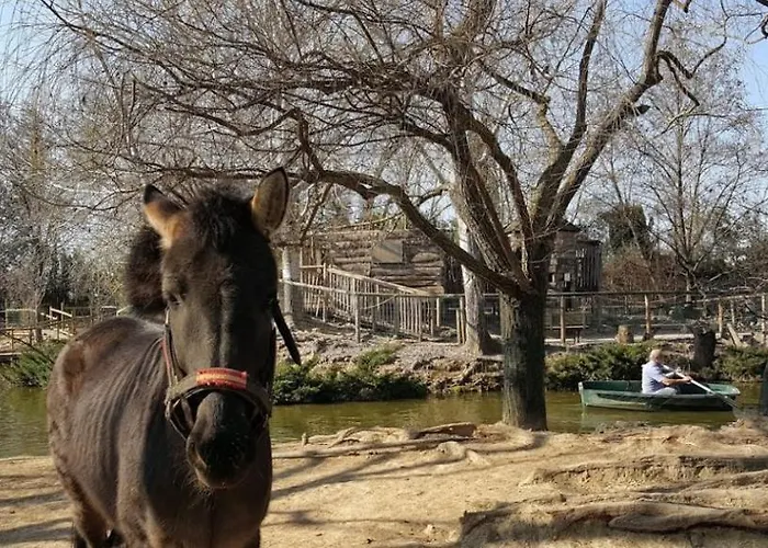 Le Nid - Complet Et Equipe Centre Proche Montpellier Alojamento de Acomodação e Pequeno-almoço Castries