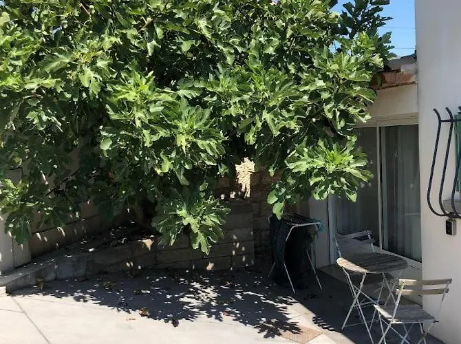 Le Nid - Complet Et Equipe Centre Proche Montpellier Alojamento de Acomodação e Pequeno-almoço Castries