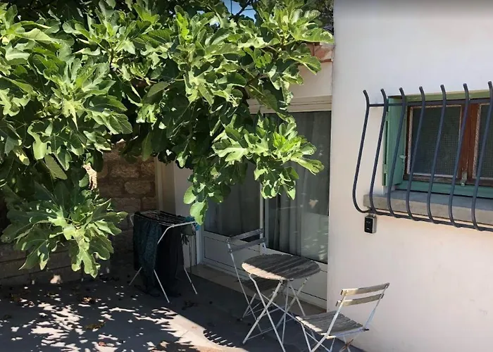 Le Nid - Complet Et Equipe Centre Proche Montpellier Castries